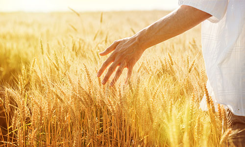 Maisto produktai Lenkija